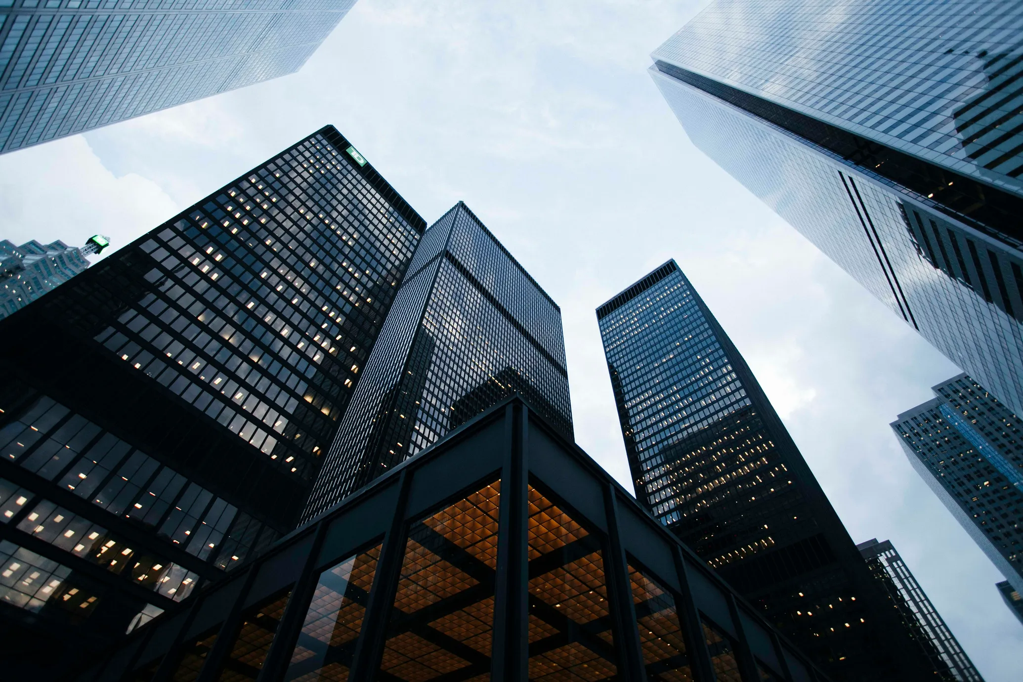 Professional logistics and supply chain management